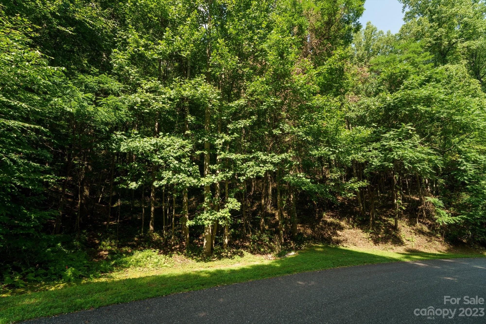 Lot at Arden, photo 9 of 13