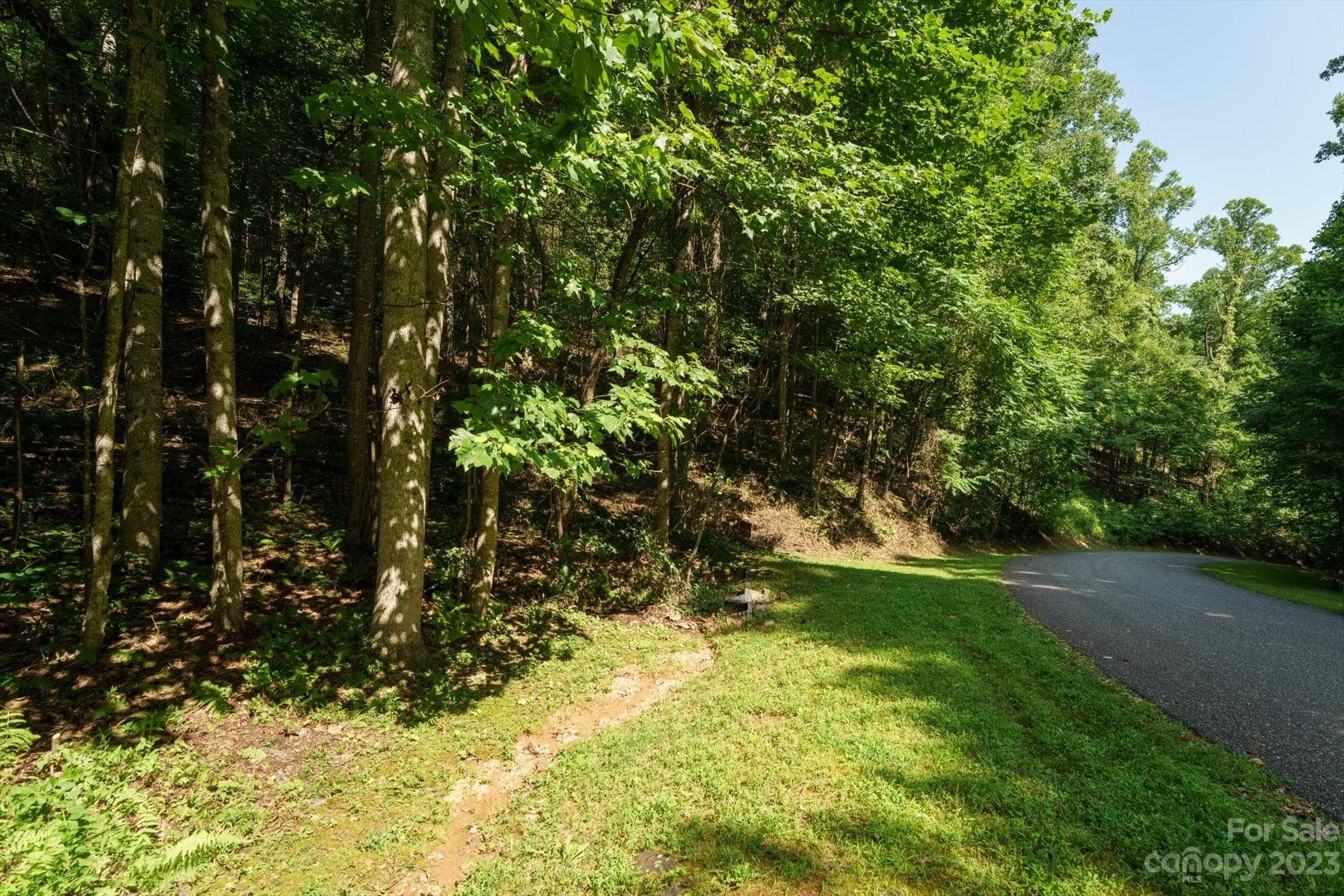 Nice, flat area for drive already outlined by old logging road - Arden