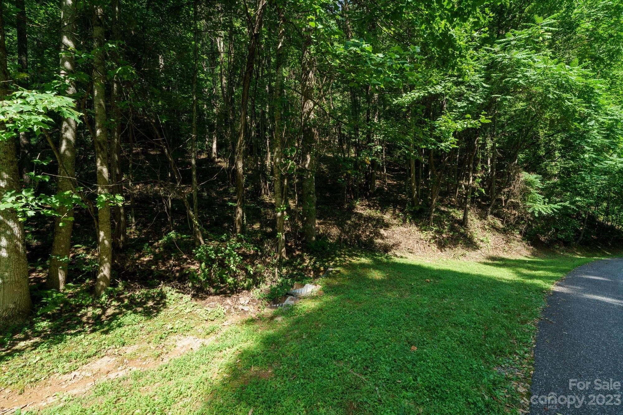 Lot at Arden, photo 12 of 13
