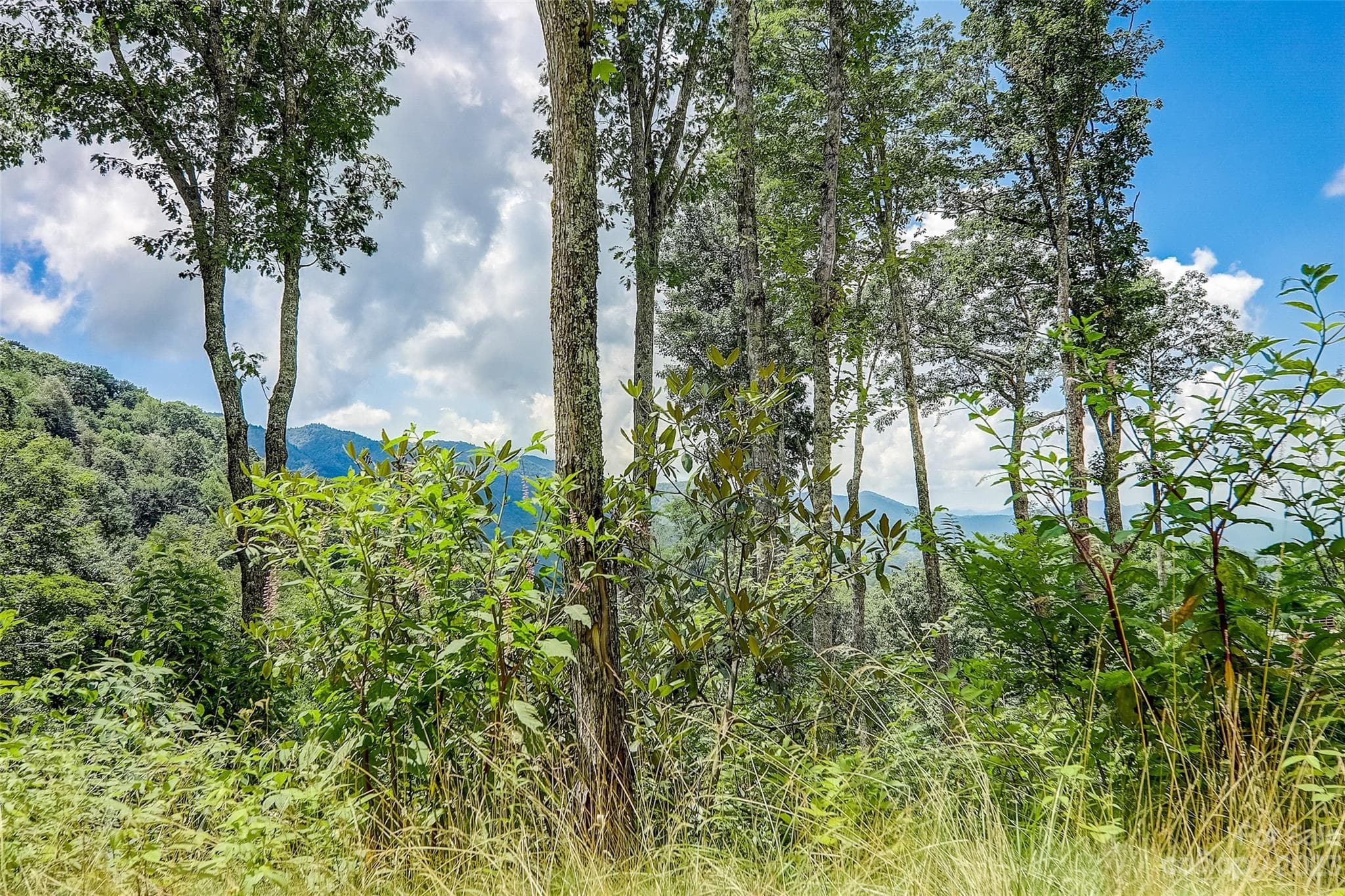 Lot at 0 Centurian Lane, Maggie Valley, photo 2 of 14