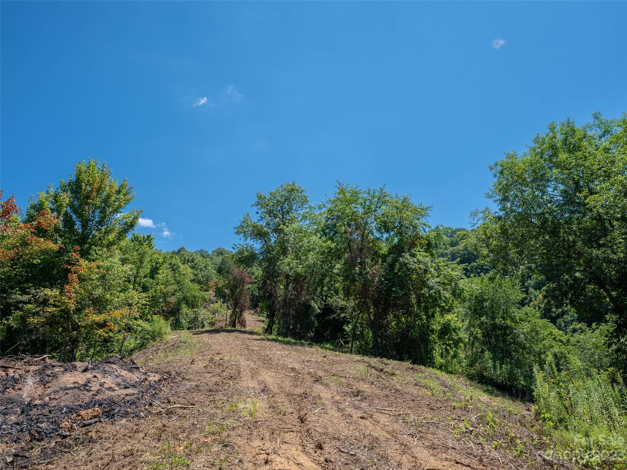 Acreage at Clyde, photo 13 of 23