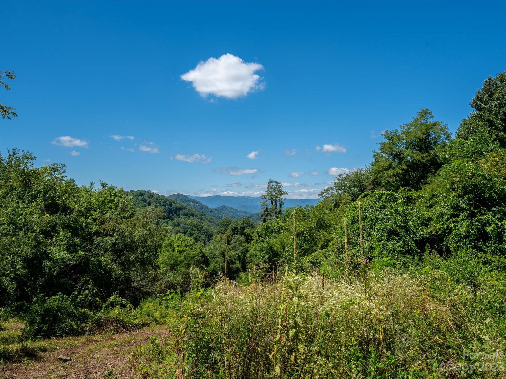 Acreage at Clyde, photo 4 of 23