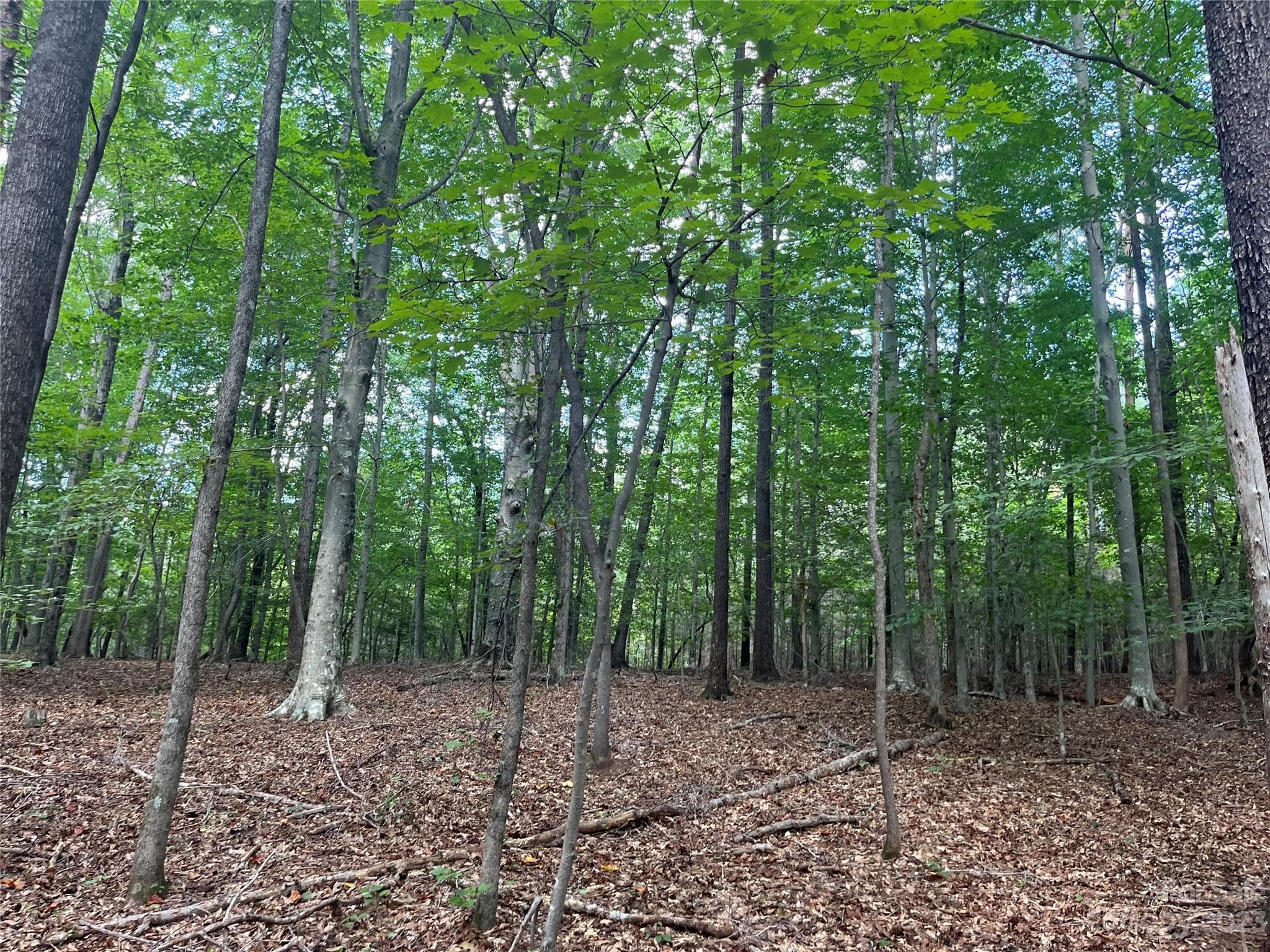 Acreage at 0 Fox Mountain Road, Columbus, photo 2 of 6