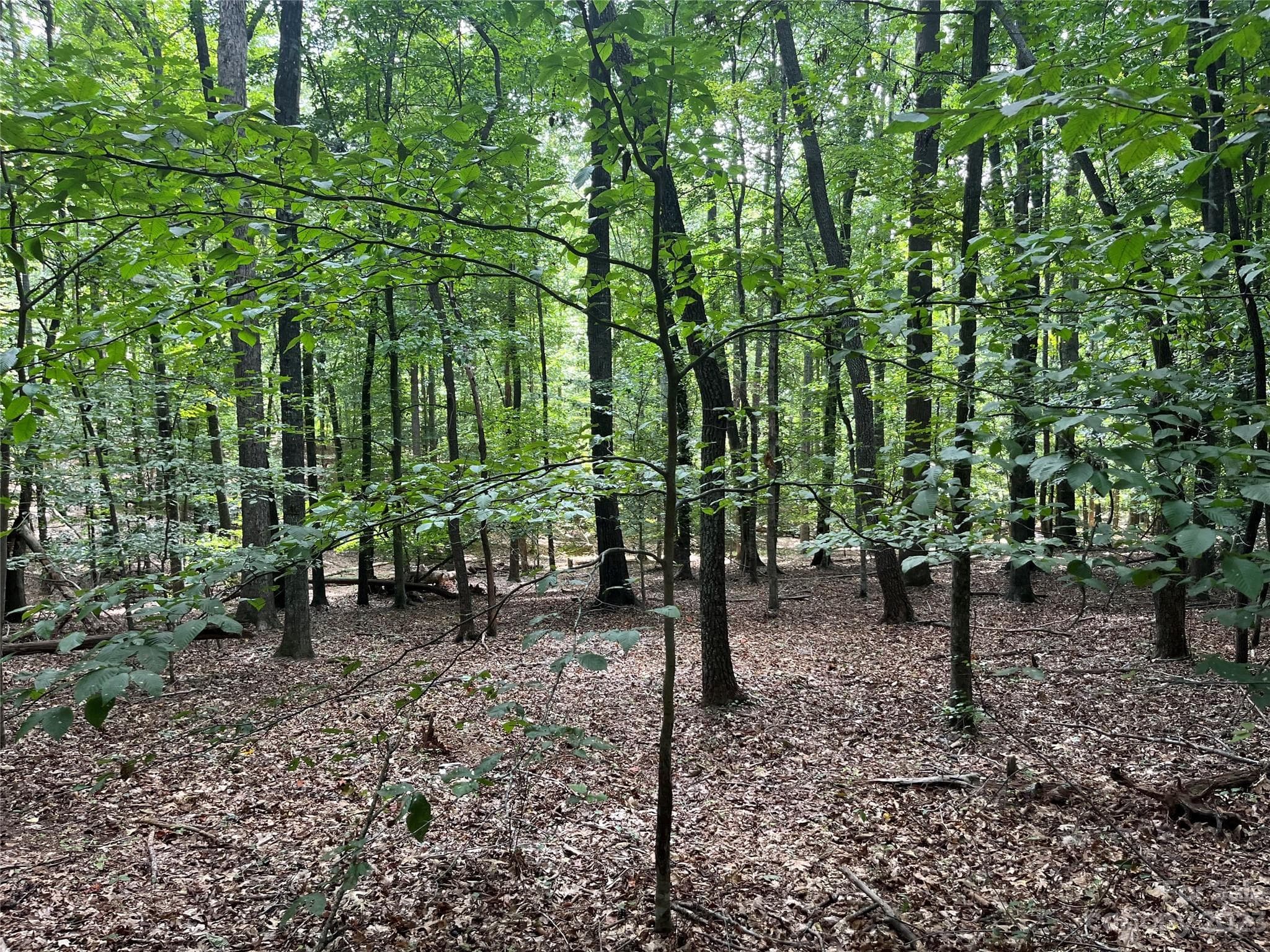 Acreage at 0 Fox Mountain Road, Columbus, photo 4 of 6