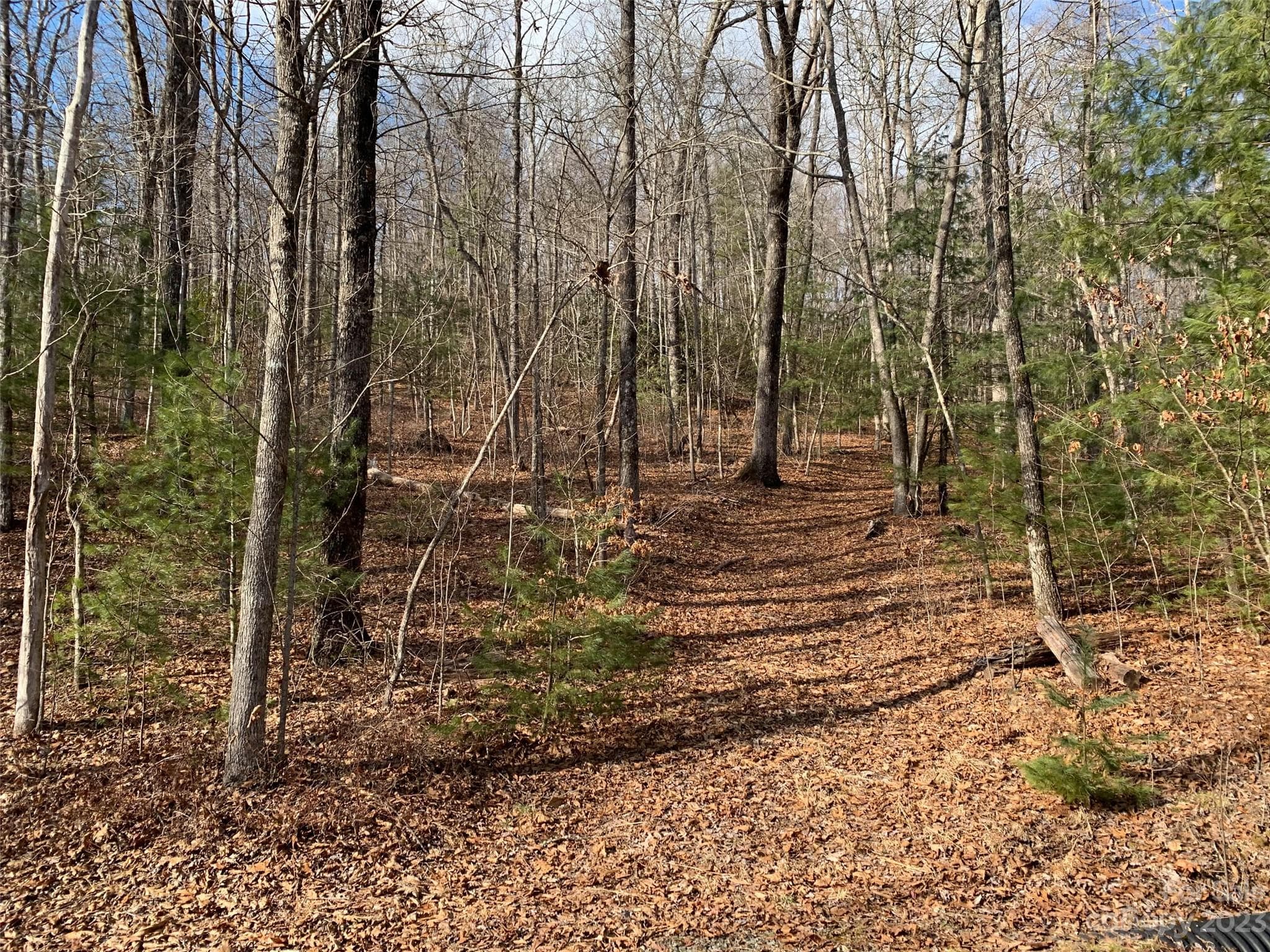 Lot at 91 Laurel Thicket Lane, Brevard, photo 2 of 5