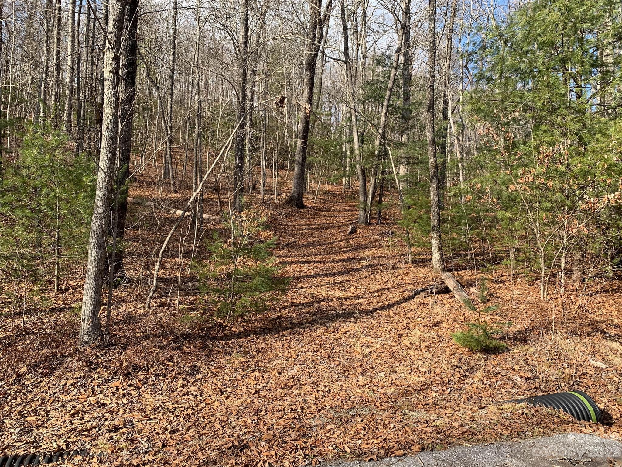 Lot at 91 Laurel Thicket Lane, Brevard, photo 4 of 5