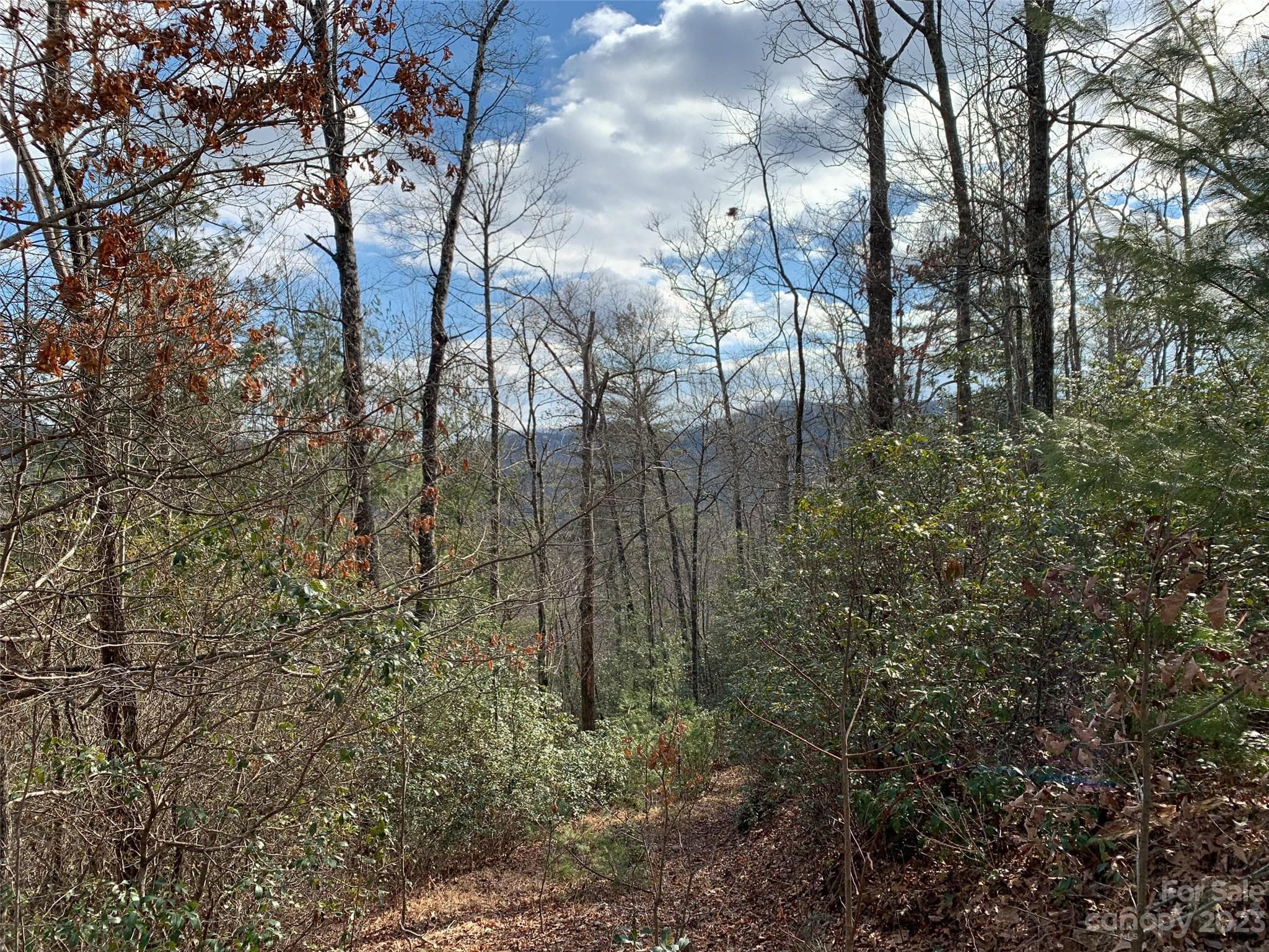 Lot at 91 Laurel Thicket Lane, Brevard, photo 5 of 5