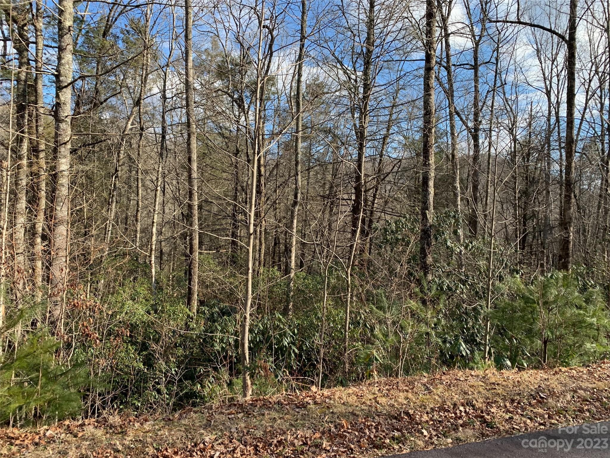 Lot at 126 Green Hollow Lane, Brevard, photo 2 of 5