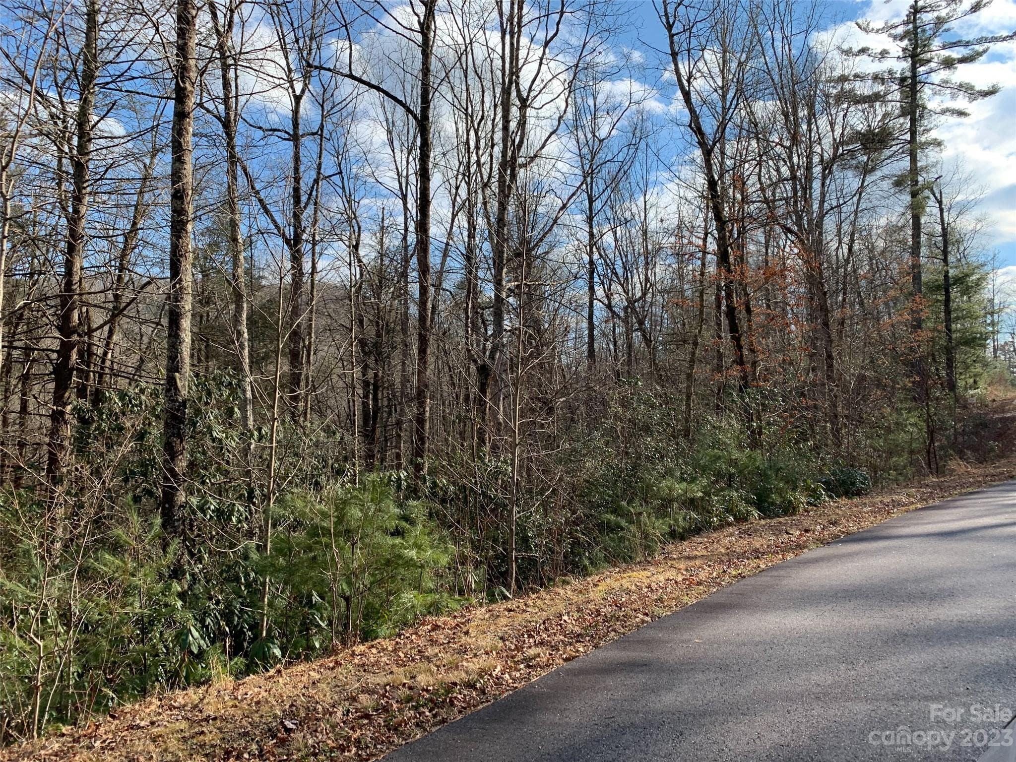 Lot at 126 Green Hollow Lane, Brevard, photo 4 of 5