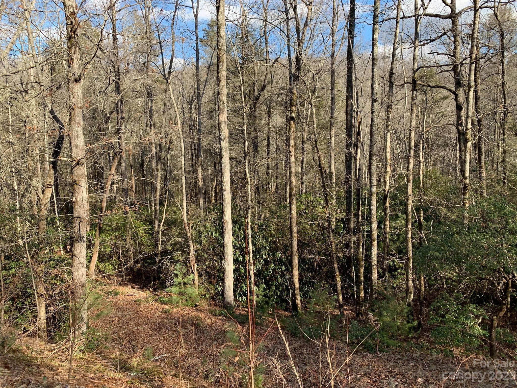 Lot at 126 Green Hollow Lane, Brevard, photo 5 of 5
