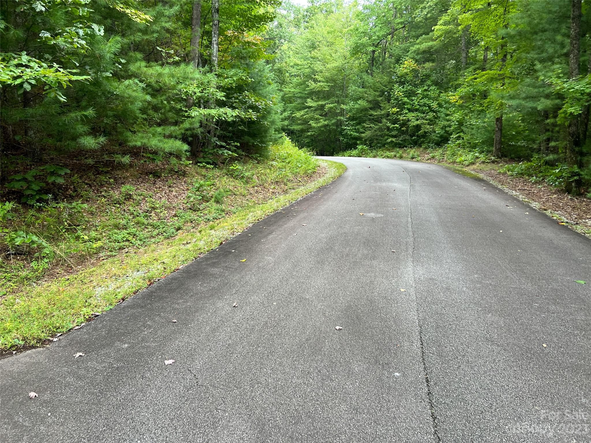 Lot at 106 Green Hollow Lane, Brevard, photo 2 of 2