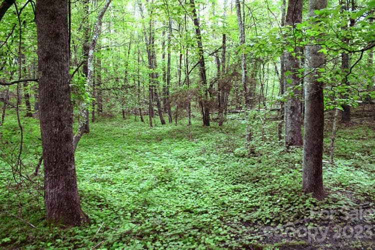 Lot at 0 Westridge Drive, Lake Lure, photo 2 of 4