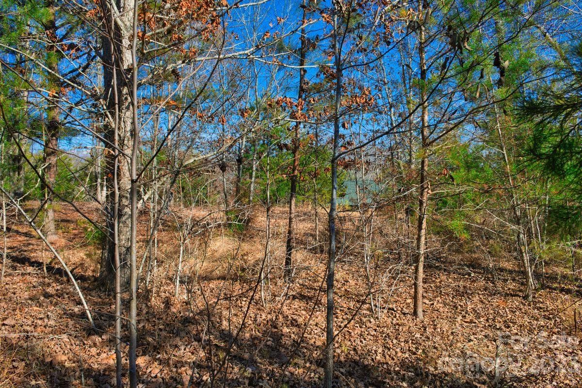Lot at 0 Whitestone Circle, Union Mills, photo 2 of 4