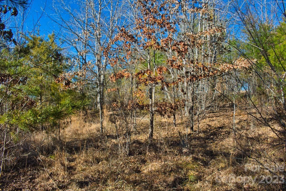 Lot at 0 Whitestone Circle, Union Mills, photo 4 of 4