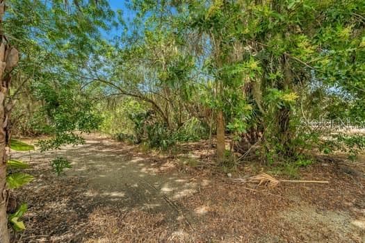 Land at 7822 WILMAR CT, PORT RICHEY, photo 2 of 37