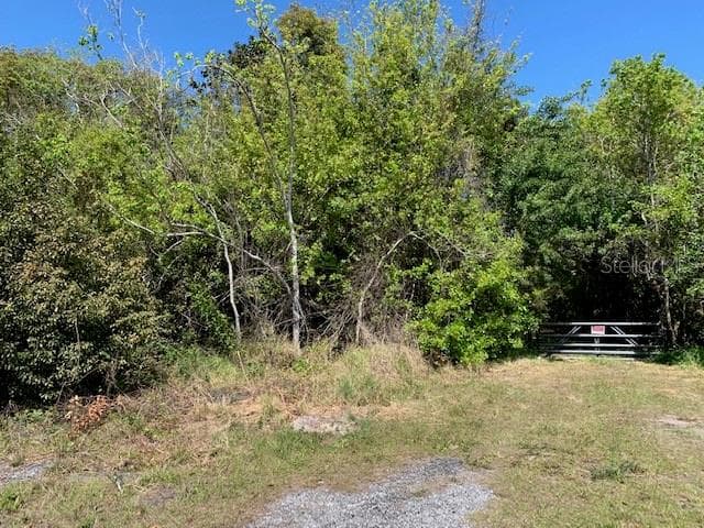 Land at 1290 CINDER LN, KISSIMMEE, photo 3 of 29