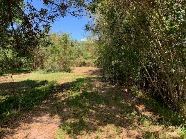 Land at 1290 CINDER LN, KISSIMMEE, photo 5 of 29