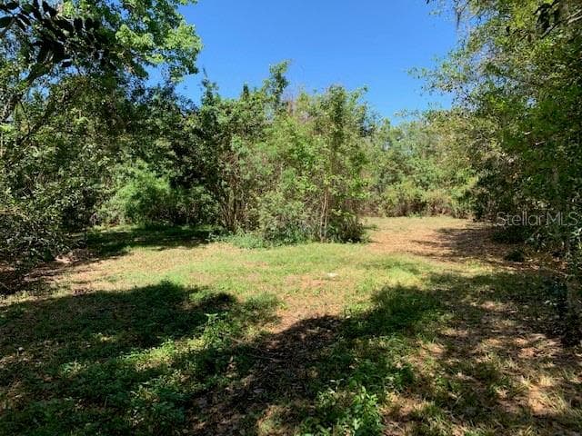 Land at 1290 CINDER LN, KISSIMMEE, photo 6 of 29