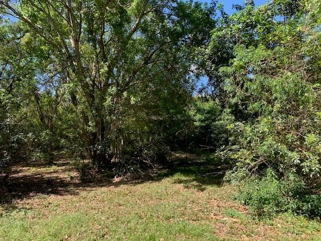 Land at 1290 CINDER LN, KISSIMMEE, photo 7 of 29