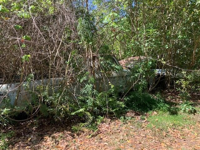 Land at 1290 CINDER LN, KISSIMMEE, photo 8 of 29