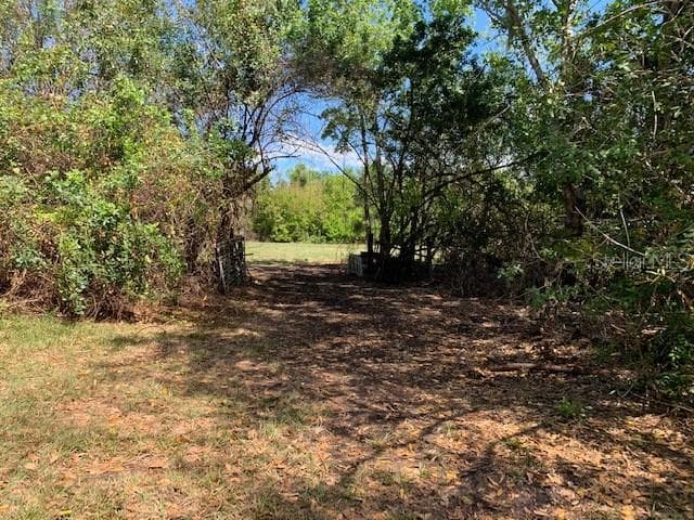 Land at 1290 CINDER LN, KISSIMMEE, photo 9 of 29