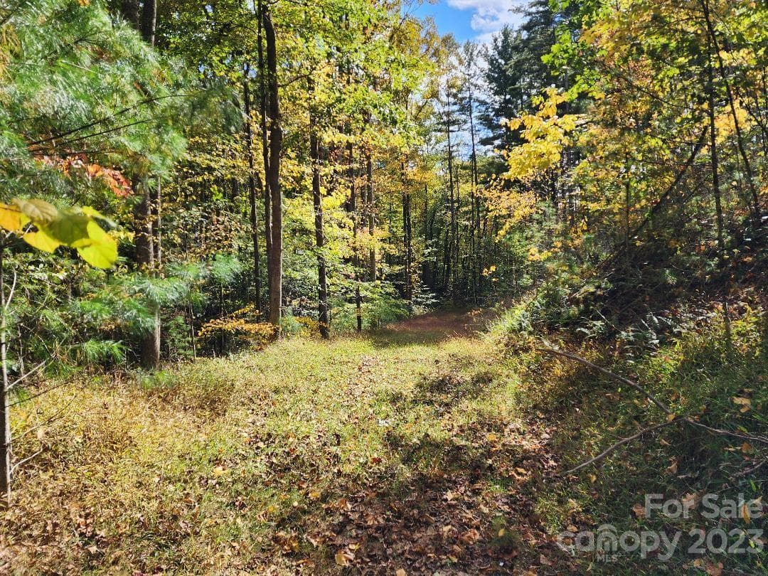 Access road leading from Thorncrest Drive - Burnsville