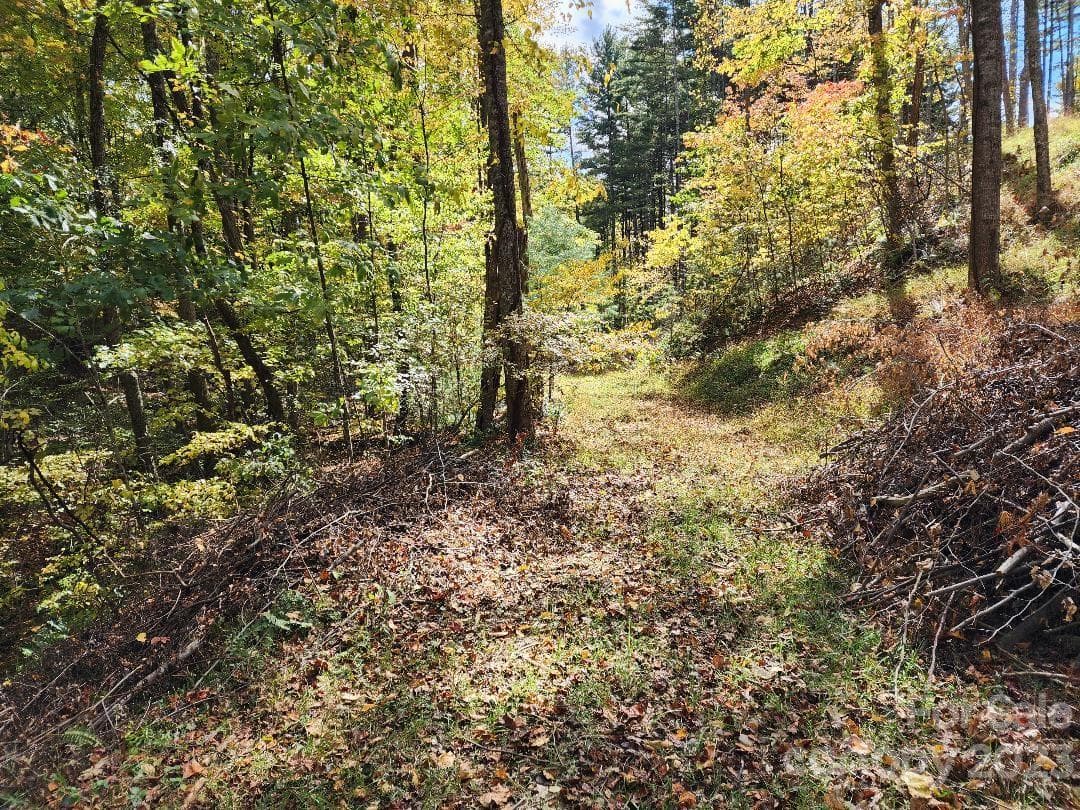 Access road near the center of the listing - Burnsville