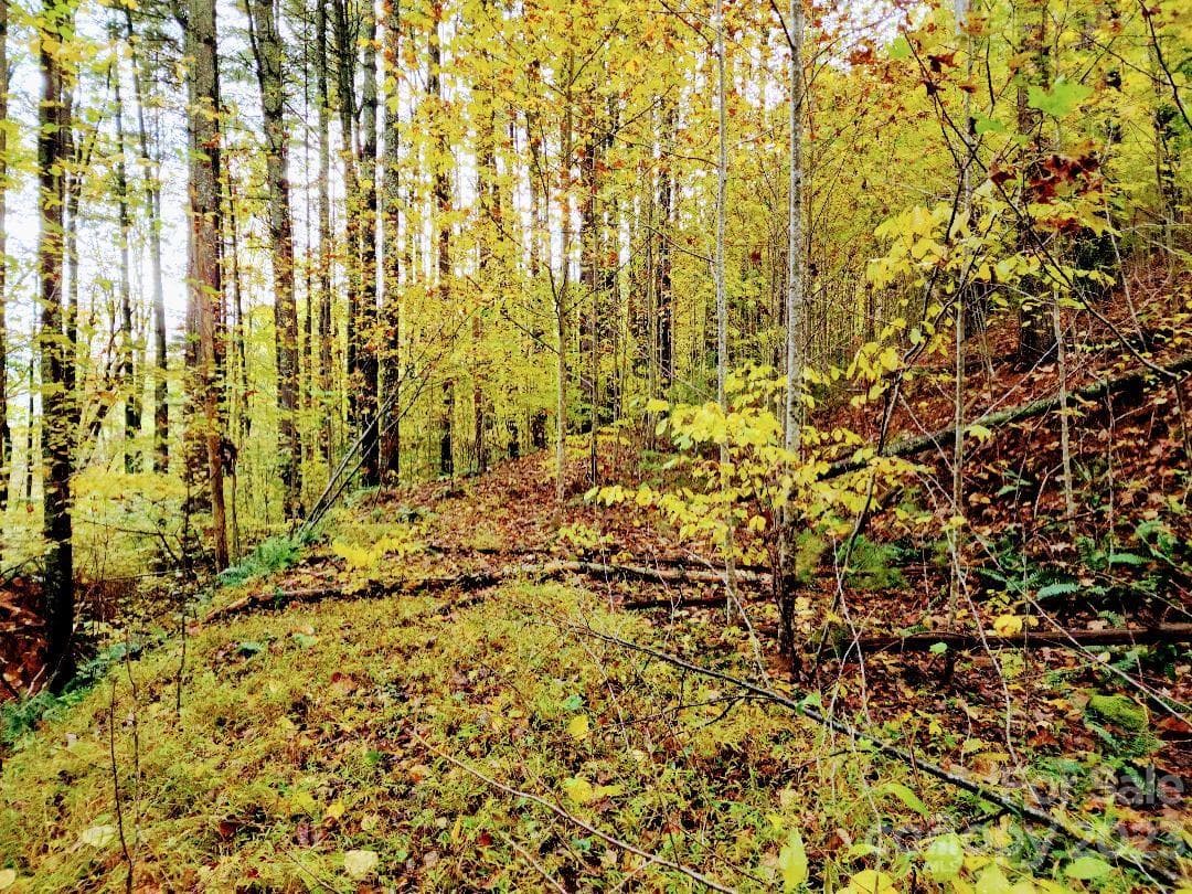 Access road leading to center of lot - Burnsville