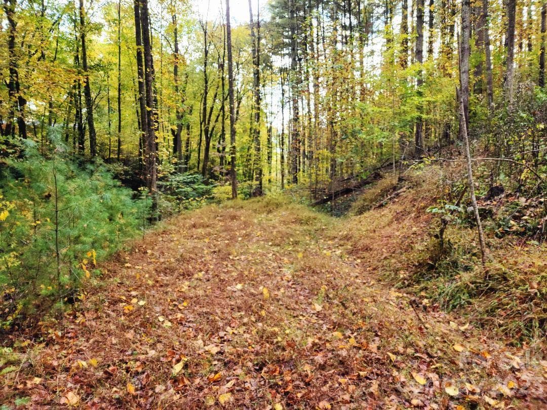 Access road near edge of lot - Burnsville