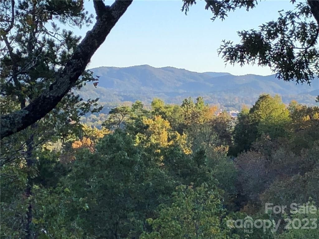 Lot at Brevard, photo 15 of 21