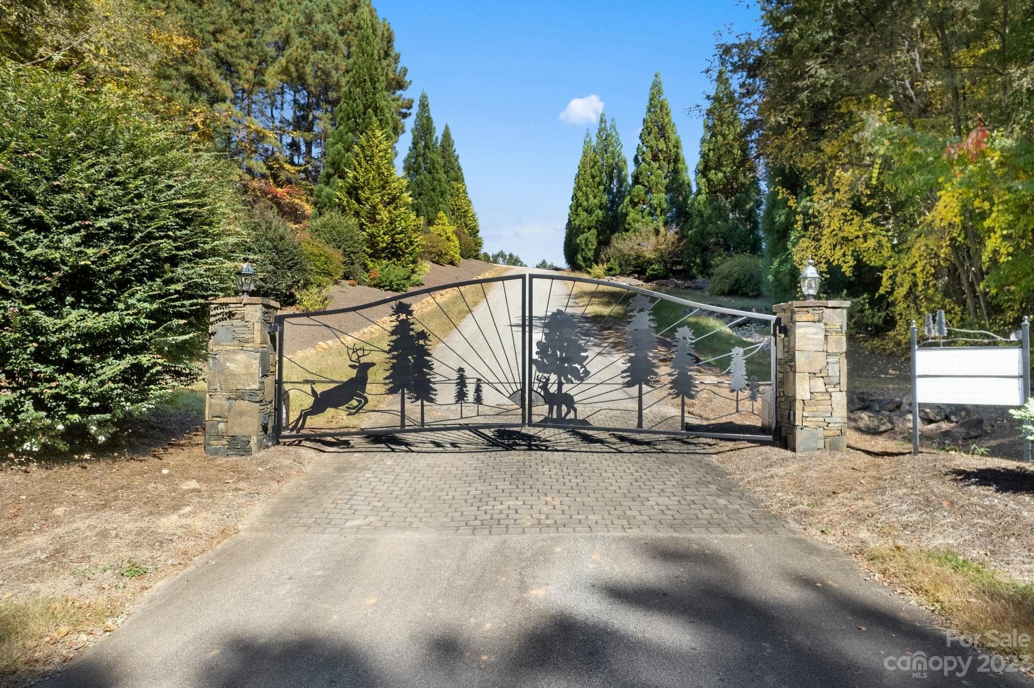 Lot at Rutherfordton, photo 17 of 18