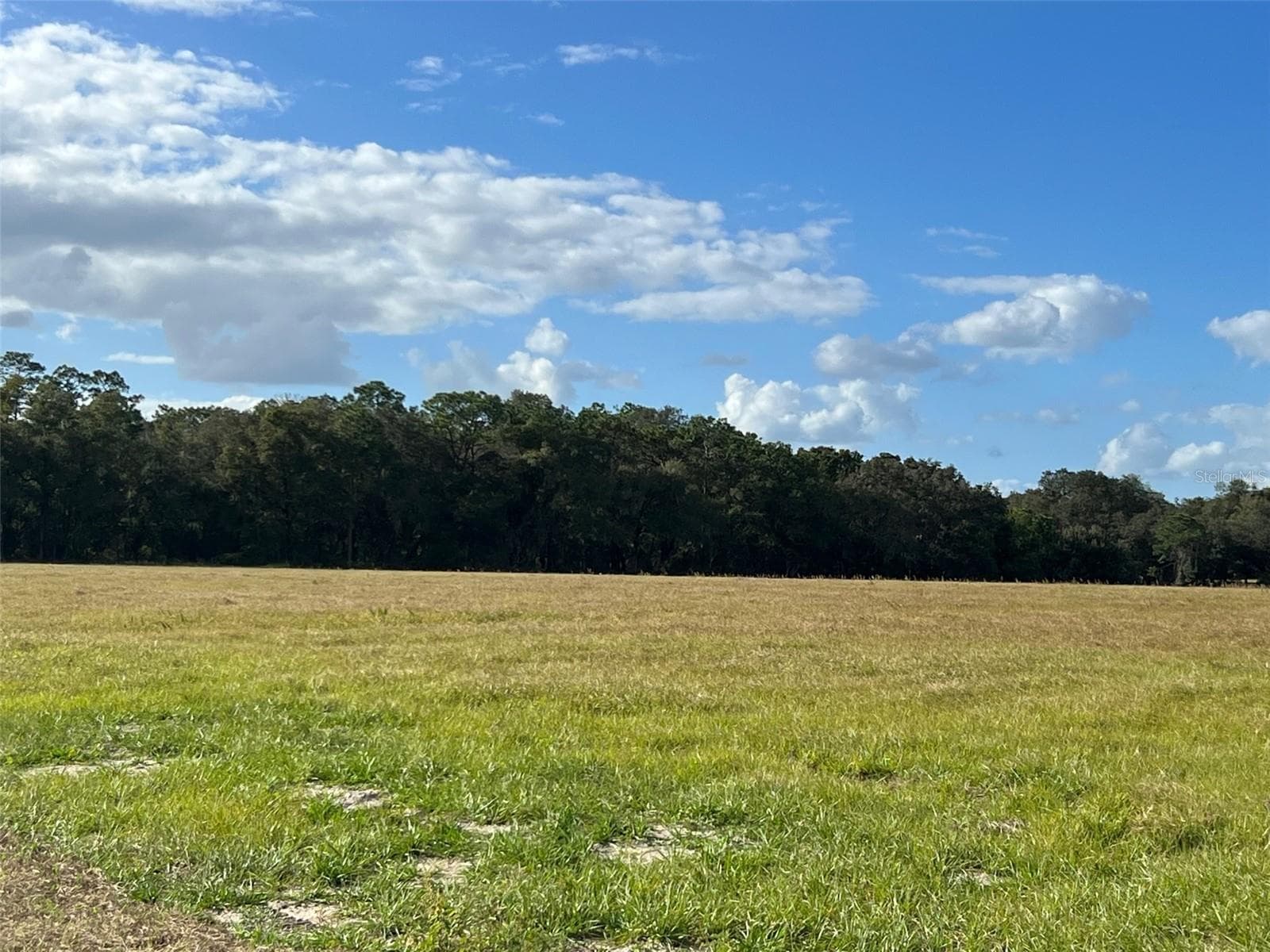 Land at SE 74TH LANE RD #9-WEST, OCKLAWAHA, photo 43 of 45