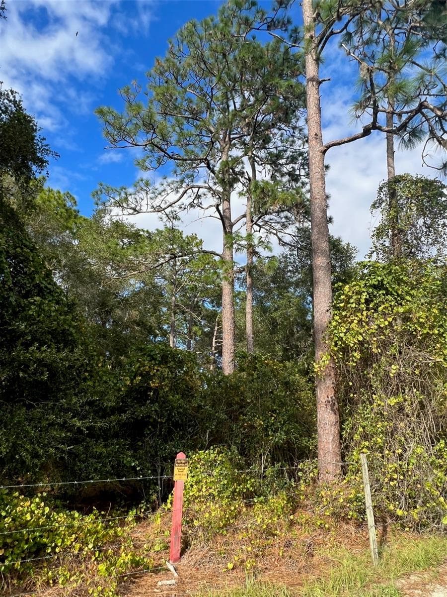 Land at SE 74TH LANE RD #9-WEST, OCKLAWAHA, photo 45 of 45