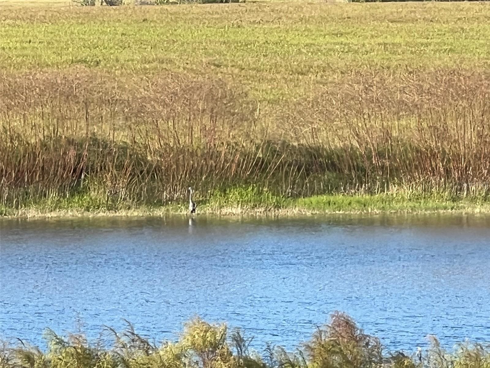 Land at SE 74TH LANE RD #6-EAST, OCKLAWAHA, photo 35 of 44