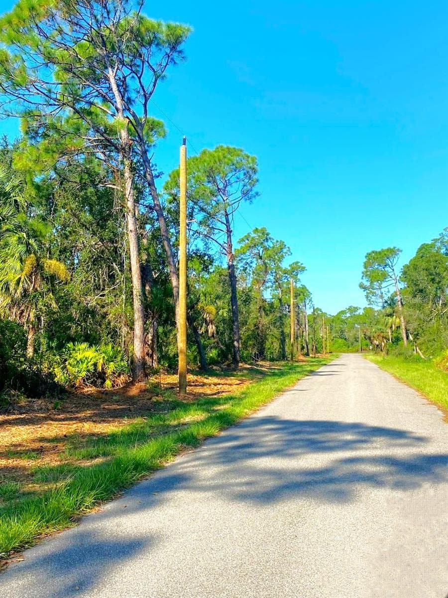 FPL Electrical Pole is in place - 20217 WINKLER AVE, PORT CHARLOTTE