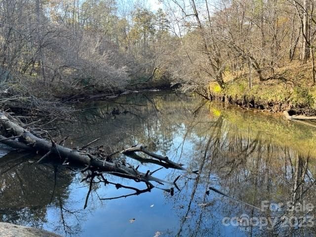 Acreage at Mill Spring, photo 3 of 7