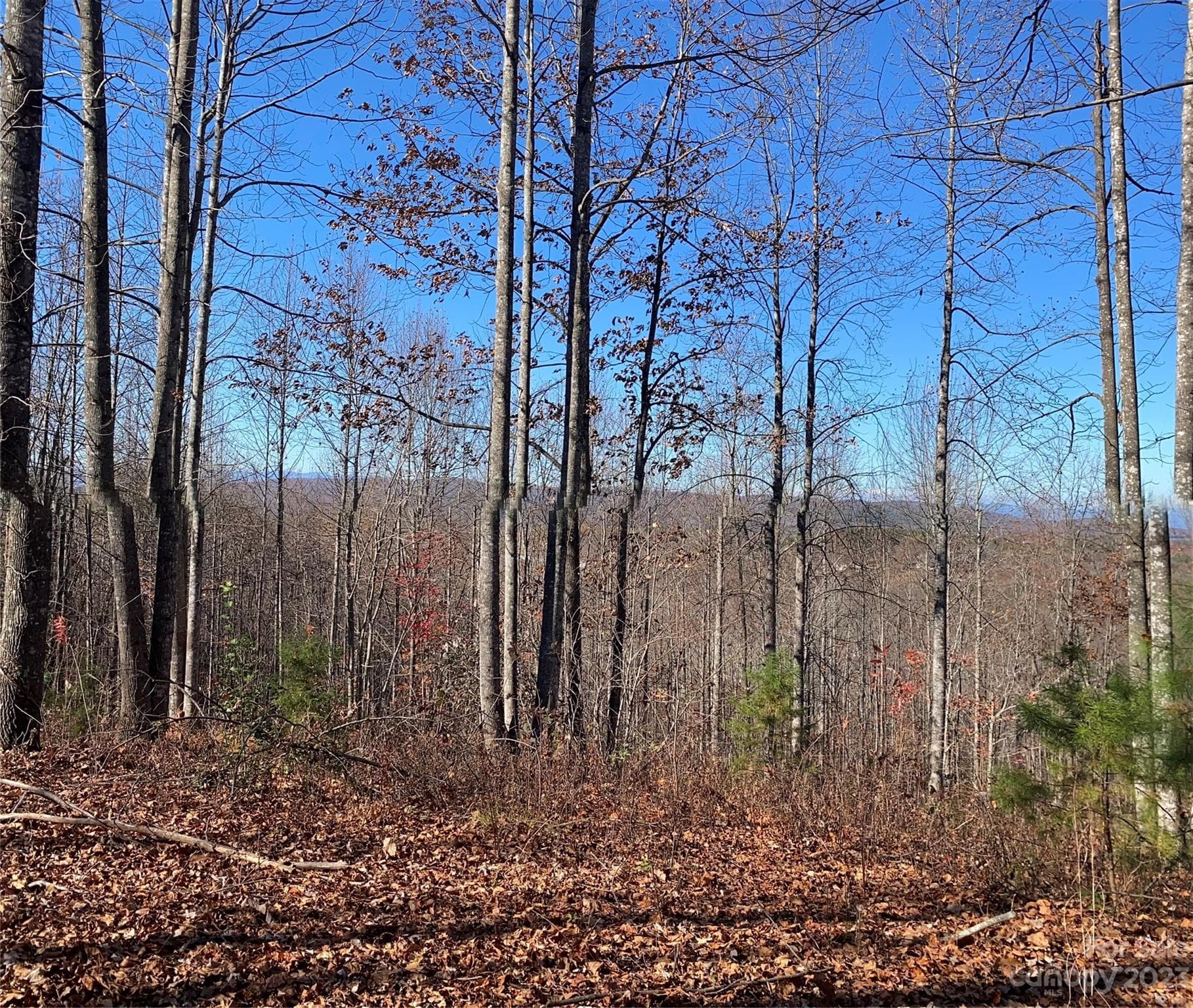 Lot at TBD Meditation Ridge Drive, Nebo, photo 2 of 15