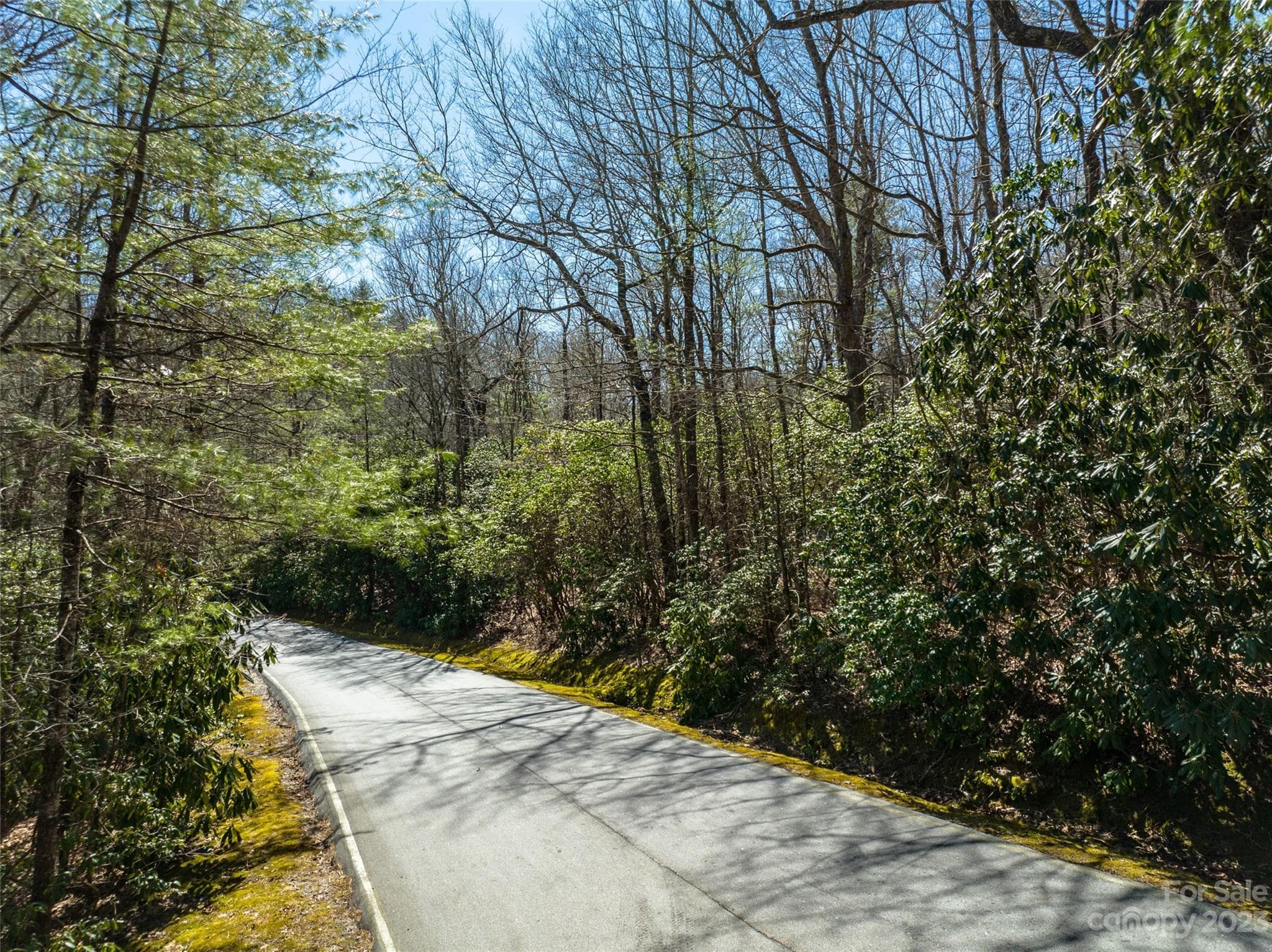 Lot at Lake Toxaway, photo 4 of 13