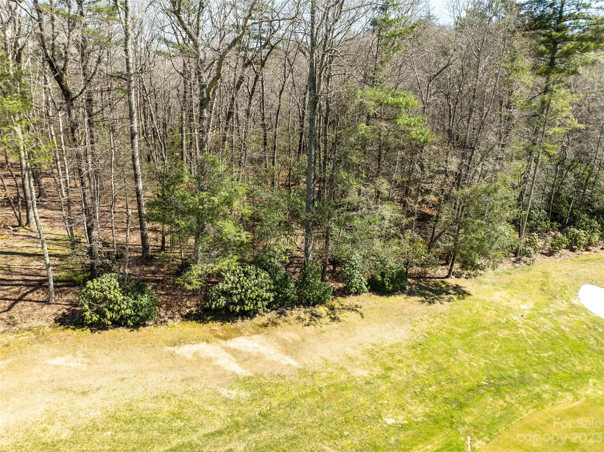 Lot at Lake Toxaway, photo 7 of 13