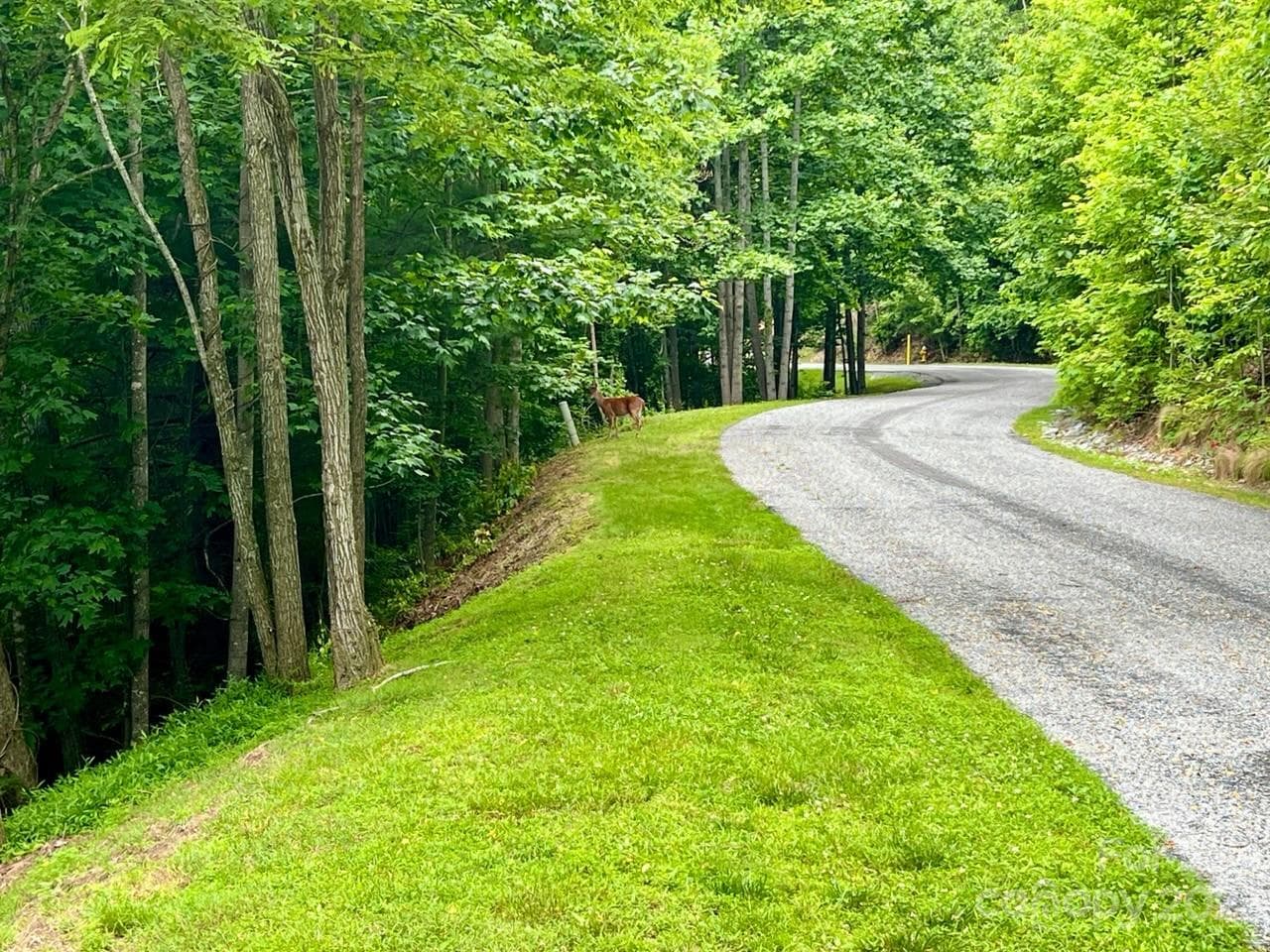 Lot at 150 Thistlewynd Trail, Laurel Park, photo 2 of 8