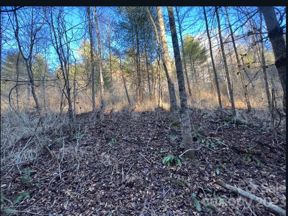 Acreage at Marshall, photo 2 of 2