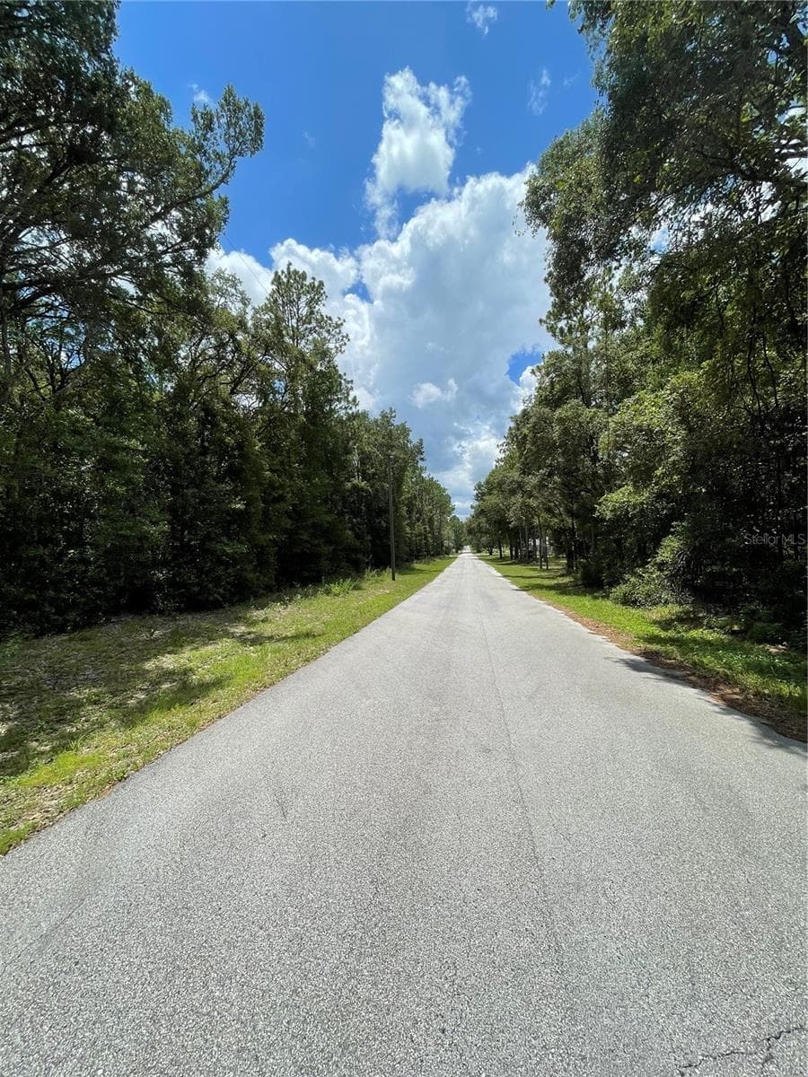 Land at TBD SW 59TH LN, DUNNELLON, photo 4 of 14
