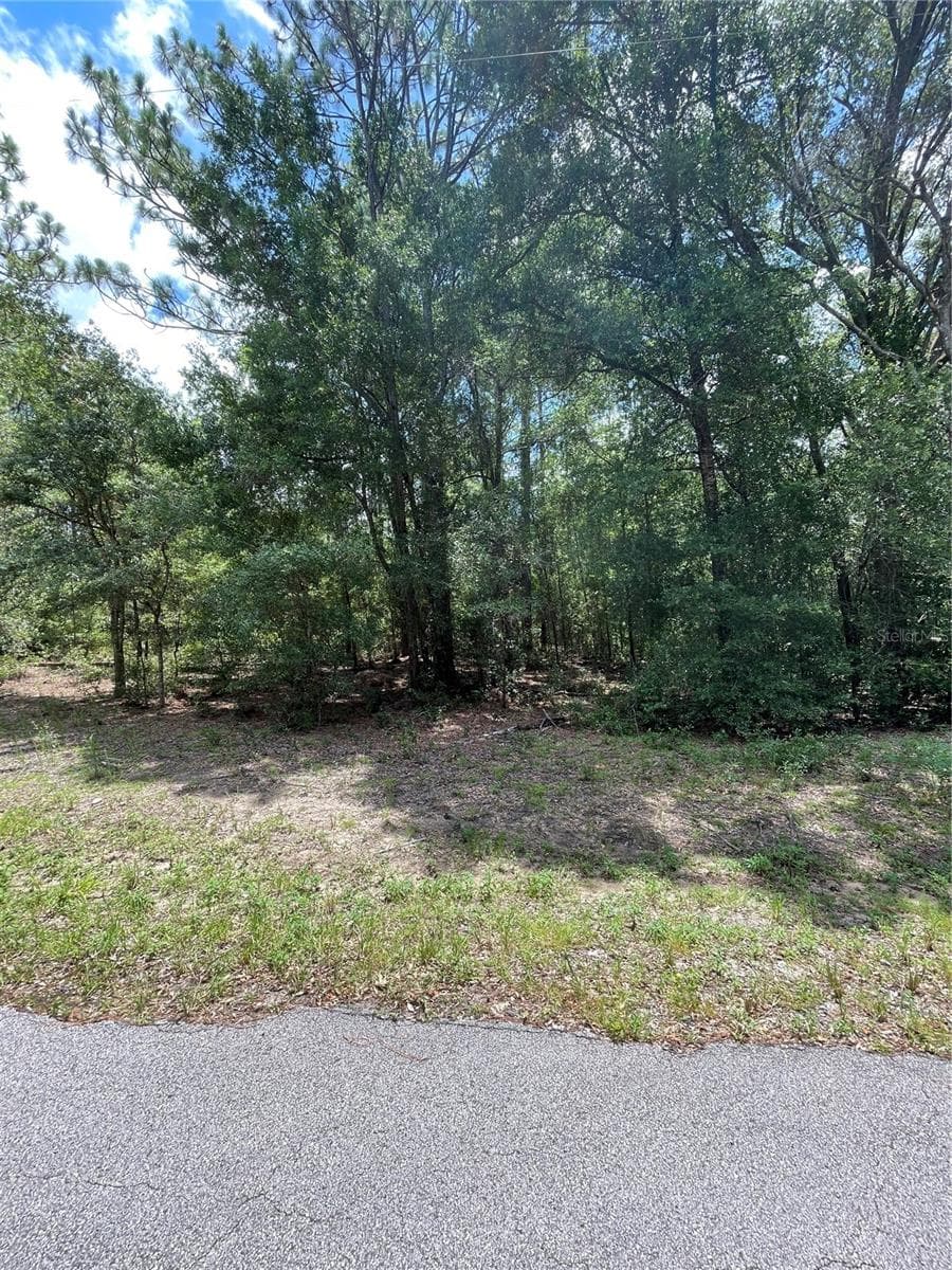 Land at TBD SW 59TH LN, DUNNELLON, photo 5 of 14