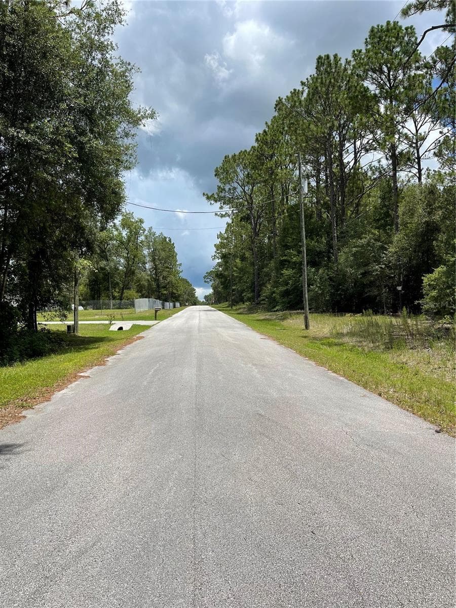 Land at TBD SW 59TH LN, DUNNELLON, photo 6 of 14