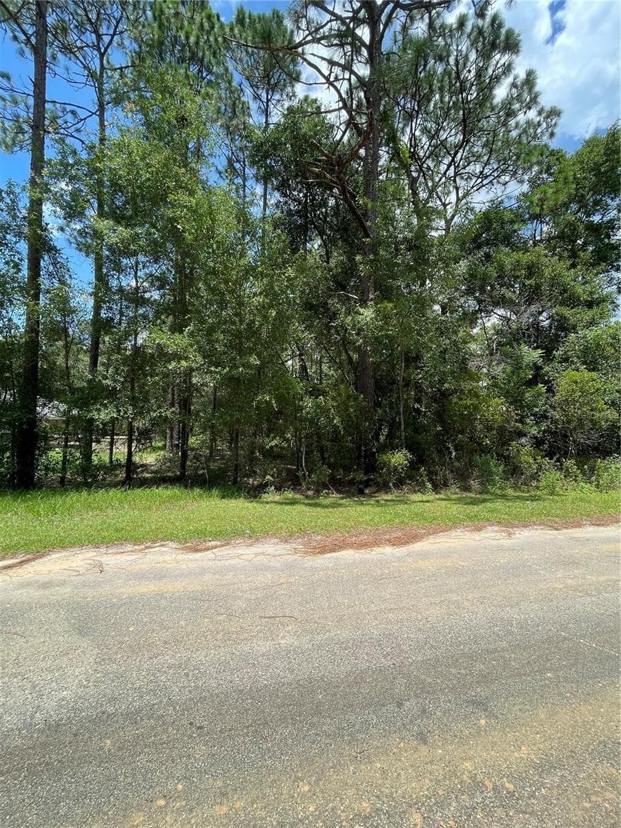 Land at TBD SW 59TH LN, DUNNELLON, photo 7 of 14