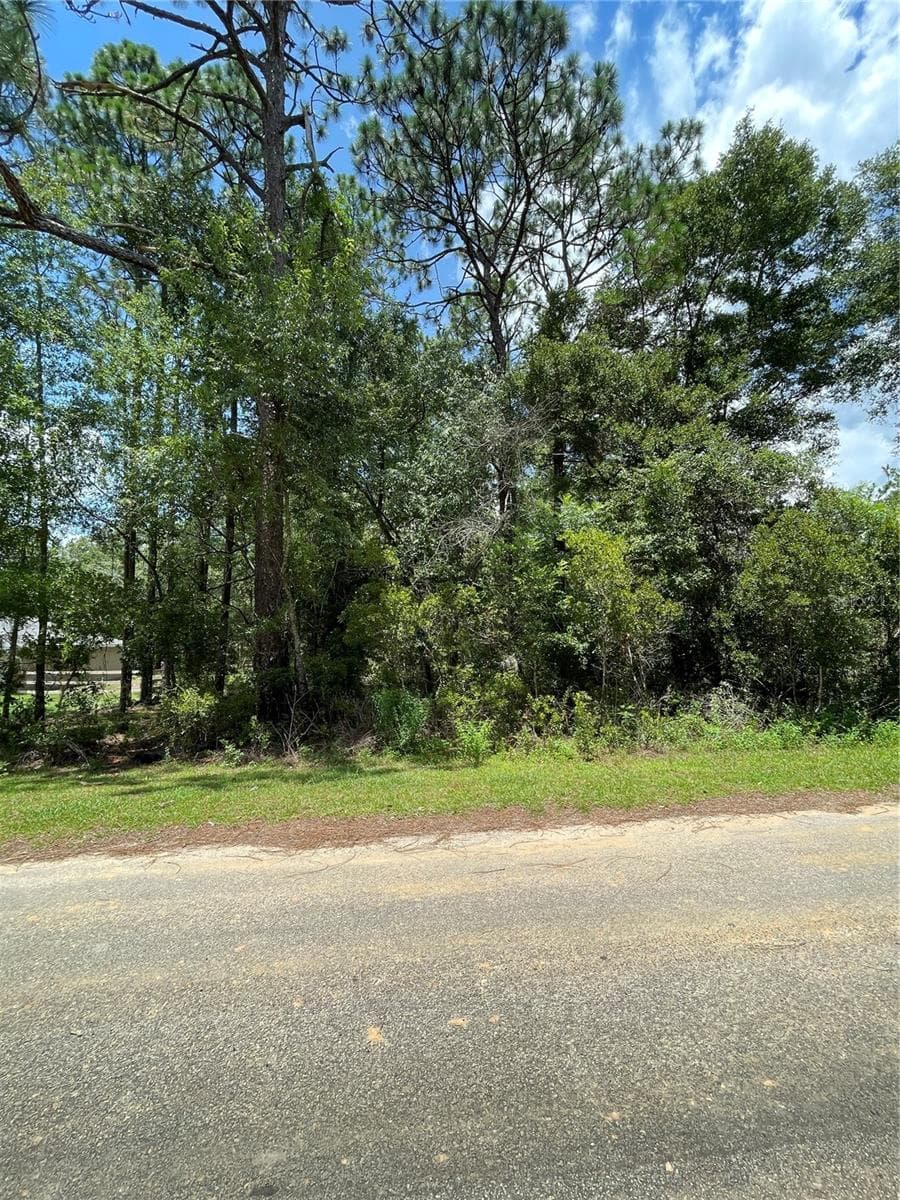 Land at TBD SW 59TH LN, DUNNELLON, photo 9 of 14