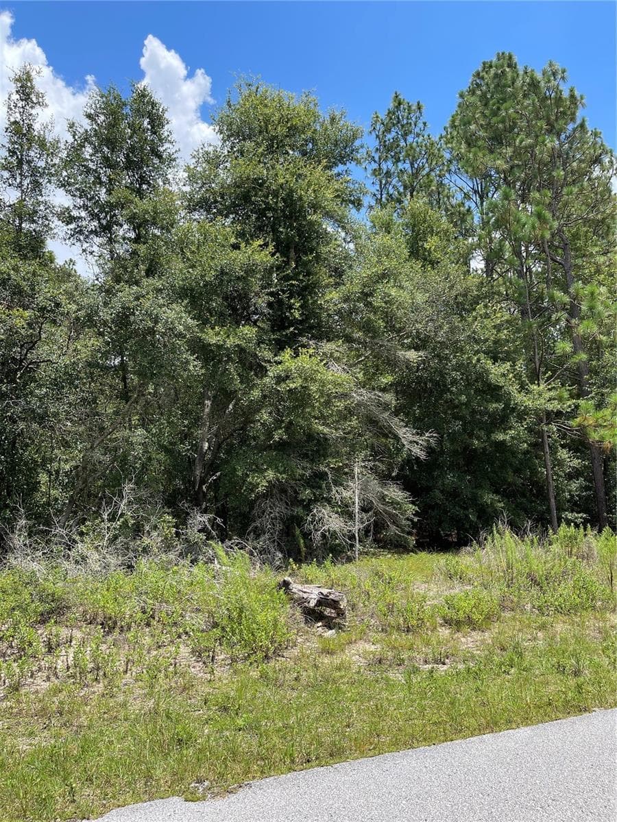 Land at TBD SW 59TH LN, DUNNELLON, photo 10 of 14