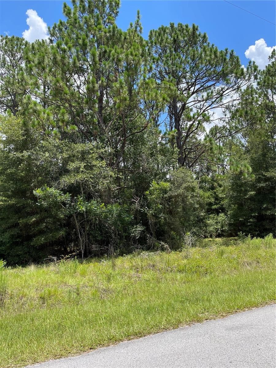 Land at TBD SW 59TH LN, DUNNELLON, photo 13 of 14