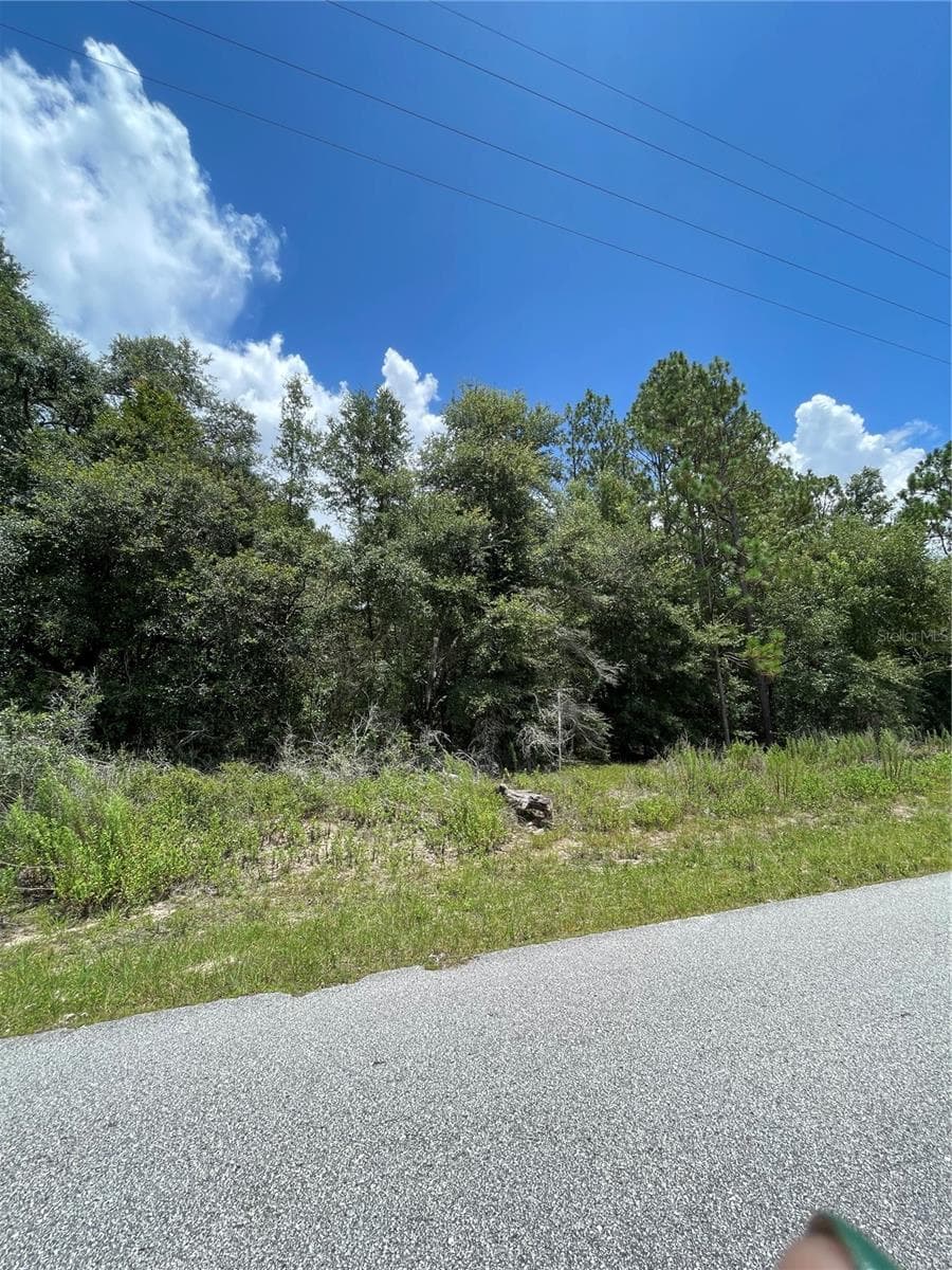 Land at TBD SW 59TH LN, DUNNELLON, photo 14 of 14