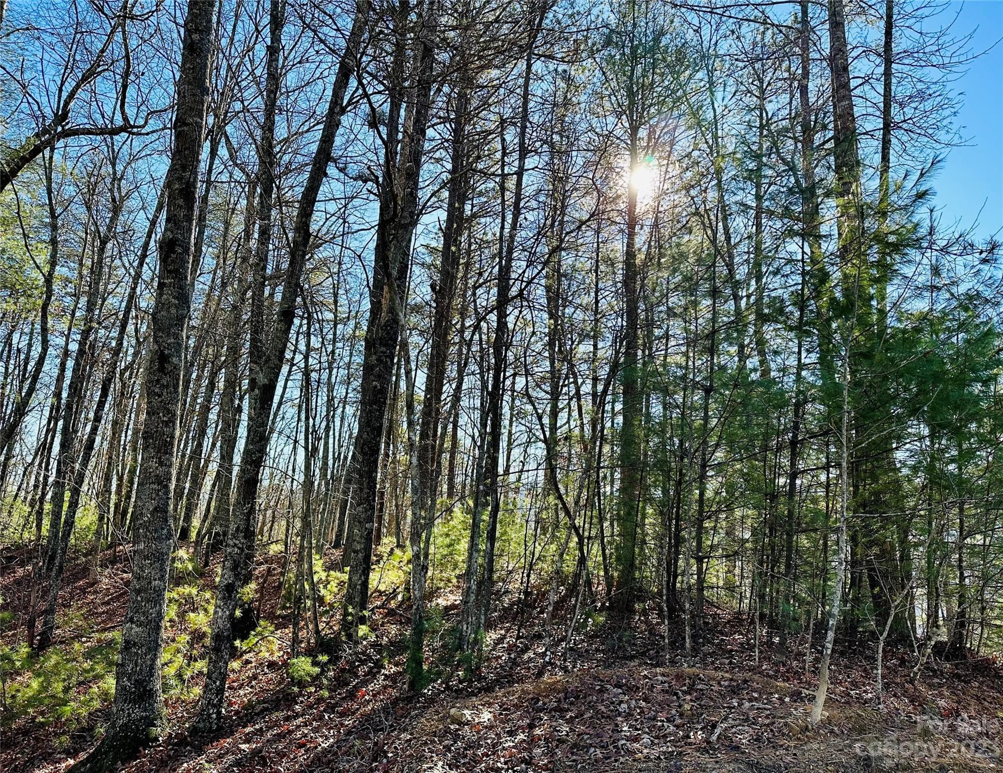 71 Turkey Trot Trail